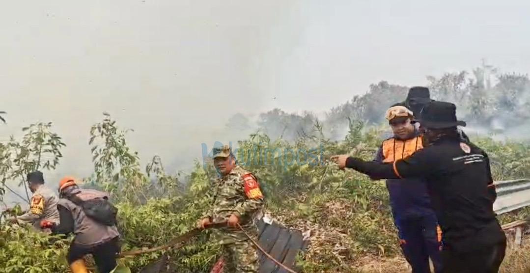 Karhutla Mengganas di Sangatta Utara, 10 Hektare Lahan Terbakar, Puluhan Personel Dikerahkan Karhutla Mengganas di Sangatta Utara, 10 Hektare Lahan Terbakar, Puluhan Personel Dikerahkan