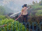 5 Hektare Lahan Terbakar di Sangatta Selatan, Polsek dan Tim Gabungan Turun Tangan 5 Hektare Lahan Terbakar di Sangatta Selatan, Polsek dan Tim Gabungan Turun Tangan