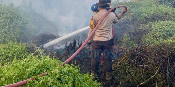 5 Hektare Lahan Terbakar di Sangatta Selatan, Polsek dan Tim Gabungan Turun Tangan