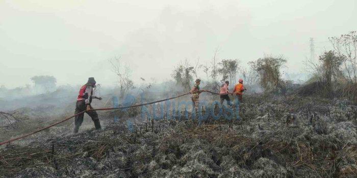 Karhutla di Sangatta Utara Meluas, 5 Hektare Lahan Terbakar