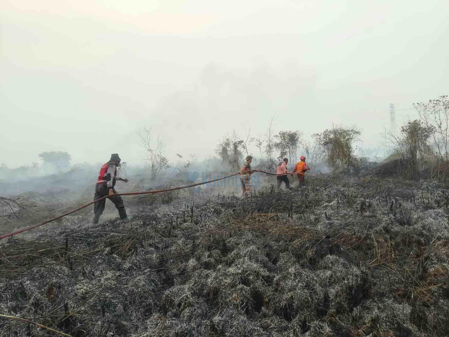 Karhutla di Sangatta Utara Meluas, 5 Hektare Lahan Terbakar